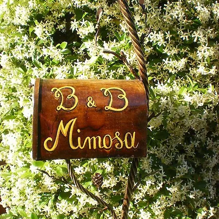 Mimosa Cascina