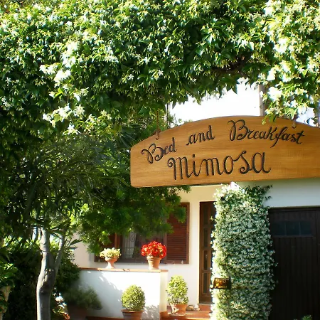 Mimosa Cascina